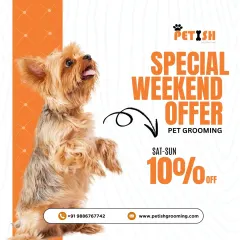 My special weekend offer gives you 10% off all pet grooming services. Book a Saturday or Sunday slot to pamper your pet.