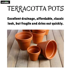 Classic terracotta pots are a great choice for plants that like to stay on the drier side, like succulents and cacti, because the clay is porous and allows for good air circulation.