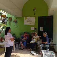 An open and interactive Q&A session in progress. We create a comfortable space for participants to ask all their questions, from dealing with pests to using the finished compost.
