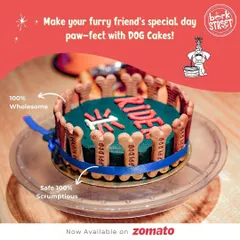 Our cakes are all about safe indulgence. This custom cake, with its biscuit border and personalized name, is made with 100% wholesome, dog-friendly ingredients so you can celebrate without a worry.