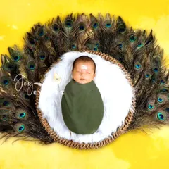 Celebrate your faith and heritage with a divine Lord Murugan themed newborn shoot. We use a fan of peacock feathers and a traditional 'tripundra' on the baby's forehead to create a respectful and beautiful image.