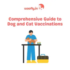 This guide to dog and cat vaccinations is a starting point for understanding your pet's needs. During a home visit, I can create a personalized vaccination plan tailored to your pet's age, lifestyle, and health.