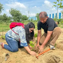 A volunteer carefully places a sapling into the prepared soil during our plantation drive with EXL. Each tree planted by a volunteer is a personal investment in a greener future for the community.
