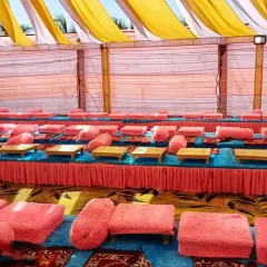 A traditional floor seating arrangement I organized for a large gathering or langar. The setup includes low wooden tables (bajots) with pink cushions for guests, all arranged neatly under a draped pandal.