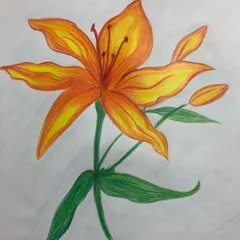In this piece, a student practiced color blending on a lily flower. They learned how to transition from yellow to orange within each petal to create a natural, sun-kissed look.