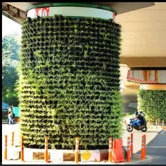 A vertical garden installed on a metro pillar, a smart city solution we implement to reduce pollution and beautify urban infrastructure.