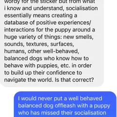 This screenshot shows my direct advice: putting an off-leash dog with a puppy who has missed their socialization window is not going to help either dog.