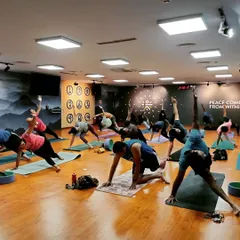 The energy in our group classes is everything. Here you can see a full studio of students moving together, each on their own journey but sharing a collective focus and strength in a Vasisthasana (Side Plank) variation.