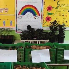 From growing to marketing. We are so proud of our students from HCC for hosting their own farmers market, selling carrots, tomatoes, and cabbage they grew themselves in our urban farm plot.