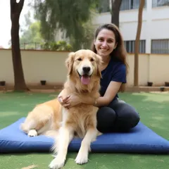 It's not just a service, it's a relationship. We take the time to get to know each dog, like this beautiful Golden Retriever, and give them personalized care.