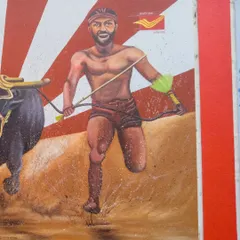 Detail of the Kambala jockey, showcasing the athletic form and determination central to the sport. This piece was part of a collaboration with the Department of Posts India in Mangalore.