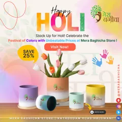 To celebrate the festival of colors, I had a special Holi offer on these vibrant, multi-colored pots. They are perfect for adding a splash of color to your home, just like the festival itself.