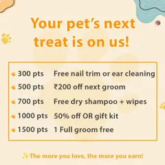 Your pet's next treat is on us. Redeem your points for great perks like a free nail trim, a discount on your next groom, or even a full groom for free.