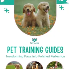 My pet training guides are designed to transform paws into polished perfection. I provide step-by-step instructions for owners to continue the training between our sessions.