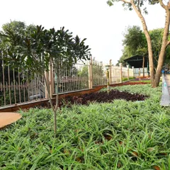 A garden bed design using different types of ground cover to create blocks of color and texture. The metal fence and young tree are also part of the overall landscape structure.