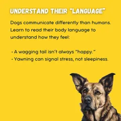 Understanding your dog's "language" is crucial. A wagging tail isn't always happy, and a yawn can signal stress. Learning to read their body language is the first step to building trust.