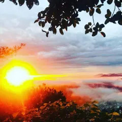 Every sunrise offers a new beginning. It is an opportunity to breathe freely, to be grateful, and to start fresh. Let the light of the morning sun fill you with hope and remind you of the precious gift of being alive.