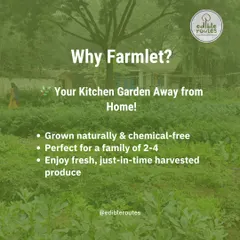 Our Farmlet is your kitchen garden away from home. It's perfectly sized for a family of 2-4, providing a steady supply of freshly harvested produce grown naturally and without any chemicals.