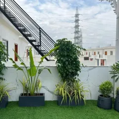 This rooftop makeover combines artificial grass with a variety of plants in contemporary dark planters. We included tall plants like the Traveller's Palm and leafy shrubs to create a lush, layered look against the urban skyline.