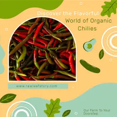 We also grow a variety of chilies, perfect for adding a fresh, spicy kick to any dish. By controlling the entire growing process, we can guarantee the flavor and quality of even the smallest ingredients.