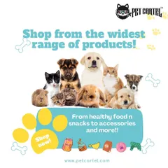 We're a one-stop shop for all kinds of pets. This image showcases the variety of furry, and not-so-furry, friends we cater to, including dogs, cats, rabbits, and guinea pigs. From food and snacks to toys, we have something for every member of your family.