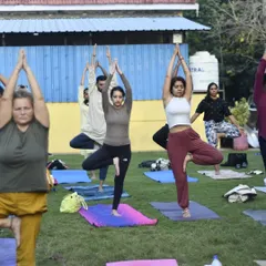 Participants holding Vrikshasana (Tree Pose) during an outdoor session. This balancing posture teaches us stability and grace, mirroring the strength of the nature surrounding us.