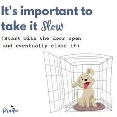 It's important to take crate training slowly. Start with the door open, and only begin closing it for short periods once your puppy is completely comfortable inside.