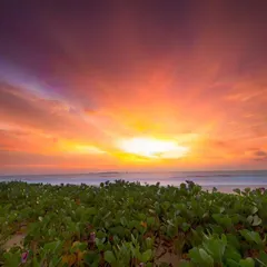 A fiery October sunset paints the sky over a beach in Udupi. The vibrant colors and the lush green foreground capture the unique beauty of the karavali coast.