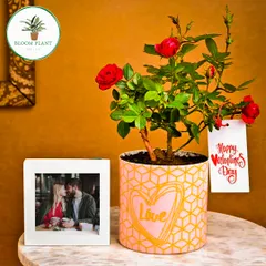 I believe in gifts that grow with your love. This Valentine's Day hamper features a beautiful blooming rose plant in a custom-designed pot, paired with a personalized photo frame to capture a special moment. It's a complete, heartfelt package for your special someone.