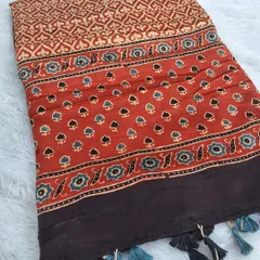 A stunning Ajrakh print fabric with a mix of floral and geometric patterns. The earthy red and blue tones are characteristic of this traditional craft.