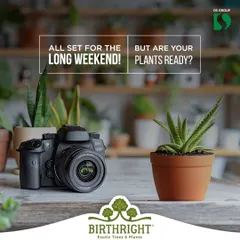 All set for the long weekend? But are your plants ready? Don't worry, I have some easy DIY tips to keep them happy and hydrated while you're away.