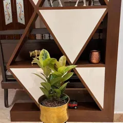 Even a small plant can have a big impact. Here, a variegated Ficus elastica, or Rubber Plant, sits in a small brass pot, adding a touch of life and color to this geometric wooden shelving unit.