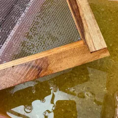 The first step in papermaking is creating the pulp. Here, shredded paper is blended with water. This green pulp is coloured with natural plant-based pigments.