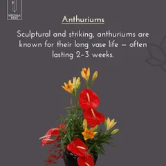 Anthuriums are sculptural, striking, and known for their long vase life. Learning which flowers last is crucial for professional work, and it's a topic I cover in depth.