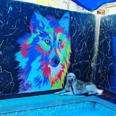 A quiet moment for Bruno, resting by the pool next to the vibrant, multi-colored wolf graffiti. It's one of my favorite photo spots.