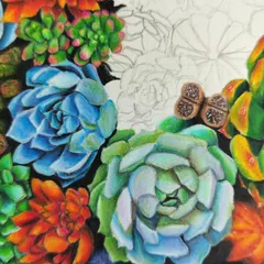 A work-in-progress of a complex succulent arrangement. This shows the vibrant colors of the finished sections next to the pencil outline of the parts yet to be drawn.