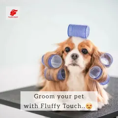 Ready for a new hairdo? This funny picture captures the playful side of pet grooming. I promise I use professional tools, not hair rollers!