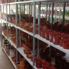 We have a comprehensive collection of classic terracotta pots. These breathable pots are excellent for plant health and come in many styles, including decorative and traditional designs.