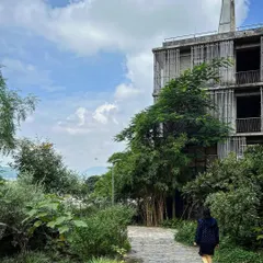 A student walks along a stone path at Avasara, flanked by mature trees and dense shrubbery. The pathways are designed to meander through the landscape, encouraging exploration and connection with nature.