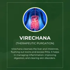 Virechana, or therapeutic purgation, is a cleansing therapy focused on the liver and intestines. This animated graphic shows how Virechana works to flush out toxins and excess Pitta. This process is excellent for managing inflammation, improving digestion, and clearing skin disorders.
