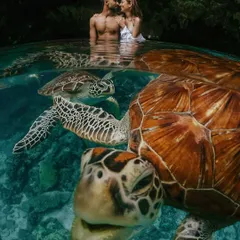 This underwater shot from Zanzibar, with a turtle looking right at the camera, is the definition of a happy accident. It adds a touch of humor and personality to Dhwani and Vishal's adventurous pre-wedding shoot.