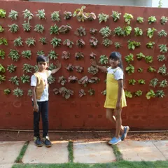 A vertical garden is a fantastic way to bring life to any wall, and it's a project the whole family can enjoy. Here’s a finished green wall I installed, which instantly transformed this outdoor patio space into a vibrant, living area.