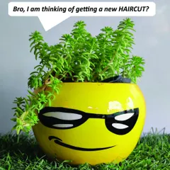 The plant itself can become part of the fun. Here, a spiky succulent gives this emoji-faced planter a wild "haircut," showing how you can get creative with my quirky planter collection.