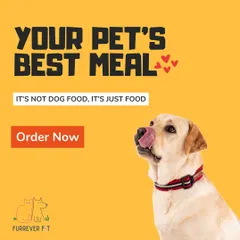 This is my philosophy in a nutshell. The food I make isn't "dog food" filled with things you can't pronounce. It's just real, fresh food, made for your pet.