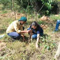 A member of our team guiding a volunteer as she plants a sapling. This hands-on guidance ensures that every tree planted has the best possible chance of survival.