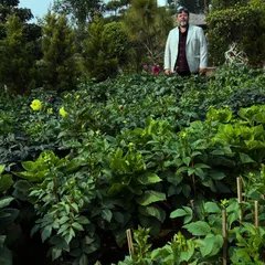 Humare paas Dahlia jaise seasonal phoolon ki kheti hoti hai. Aapko hamesha swasth aur taiyaar paudhe milenge.