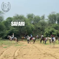 A group gets ready to set off on a horseback safari. Our guides ensure everyone is comfortable before leading the way into the diverse landscapes of the Aravalli jungle.
