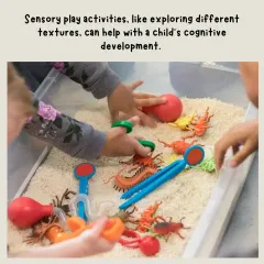 Did you know that sensory play helps with cognitive development? Our play areas include activities that engage different textures and materials to help your child learn as they play.