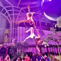 Creating layered shapes during a duo lyra performance. The interplay between two bodies on a single apparatus adds a complex and beautiful dimension to the act.