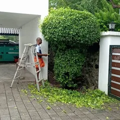 Expert pruning is key to healthy, good-looking plants. We have the right tools and skills to shape everything from small shrubs to large bushes, improving the overall look of your garden.